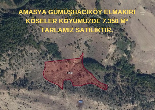  ELMAKIRI KÖSELER KÖYÜMÜZDE 7.350 M² TARLAMIZ SATILIKTIR. - AMASYA GÜMÜŞHACIKÖY fotoğraf 6